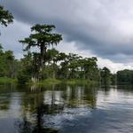 Edward Ball Wakulla Springs State Park