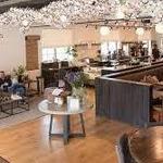 Thistle Farms