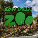 San Diego Zoo