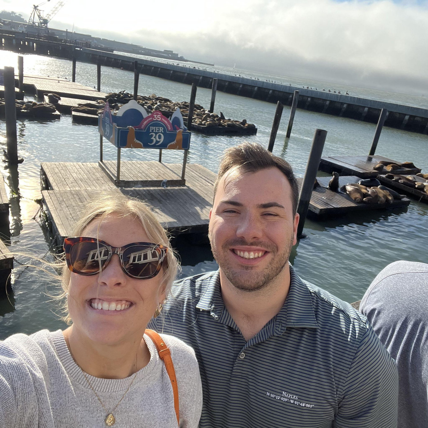 Pier 39 ft. sea lions in San Francisco