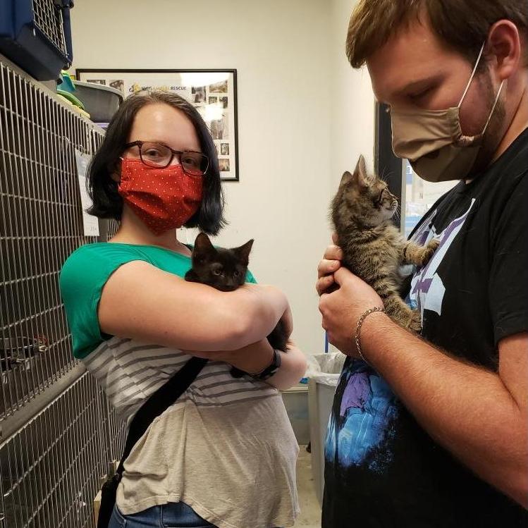 We got kittens! Welcome to the family Binx & Tucker