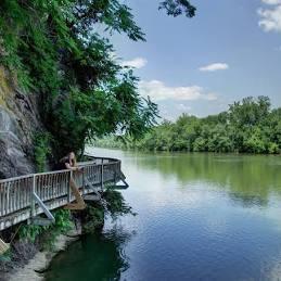 Annual Membership | Ijams Nature Center