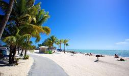 Higgs Beach
