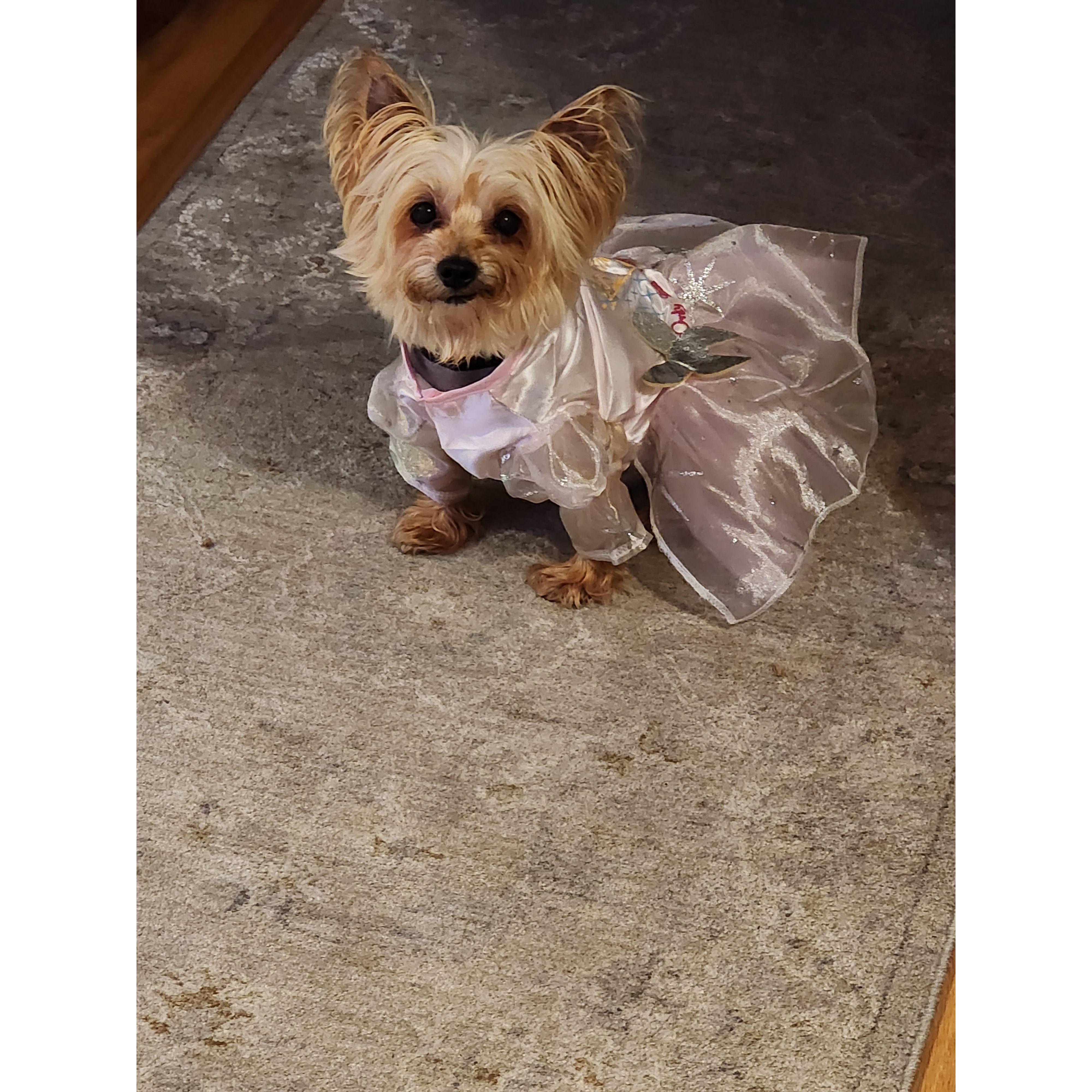 Kassidy dressed as the Fairy God Mother for Halloween