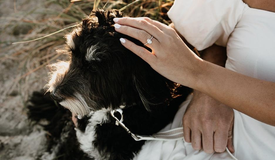 The Wedding Website of Megan Larsen and Nicholas Wilde