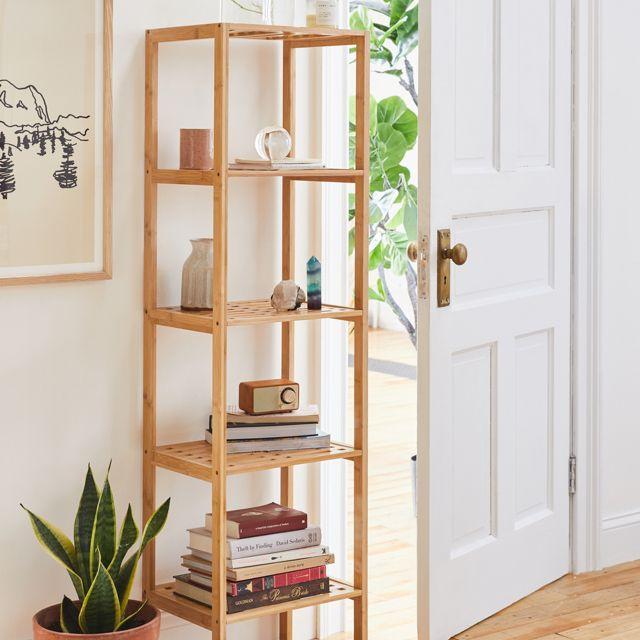 Levy Bookshelf