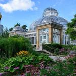 Allan Gardens Conservatory