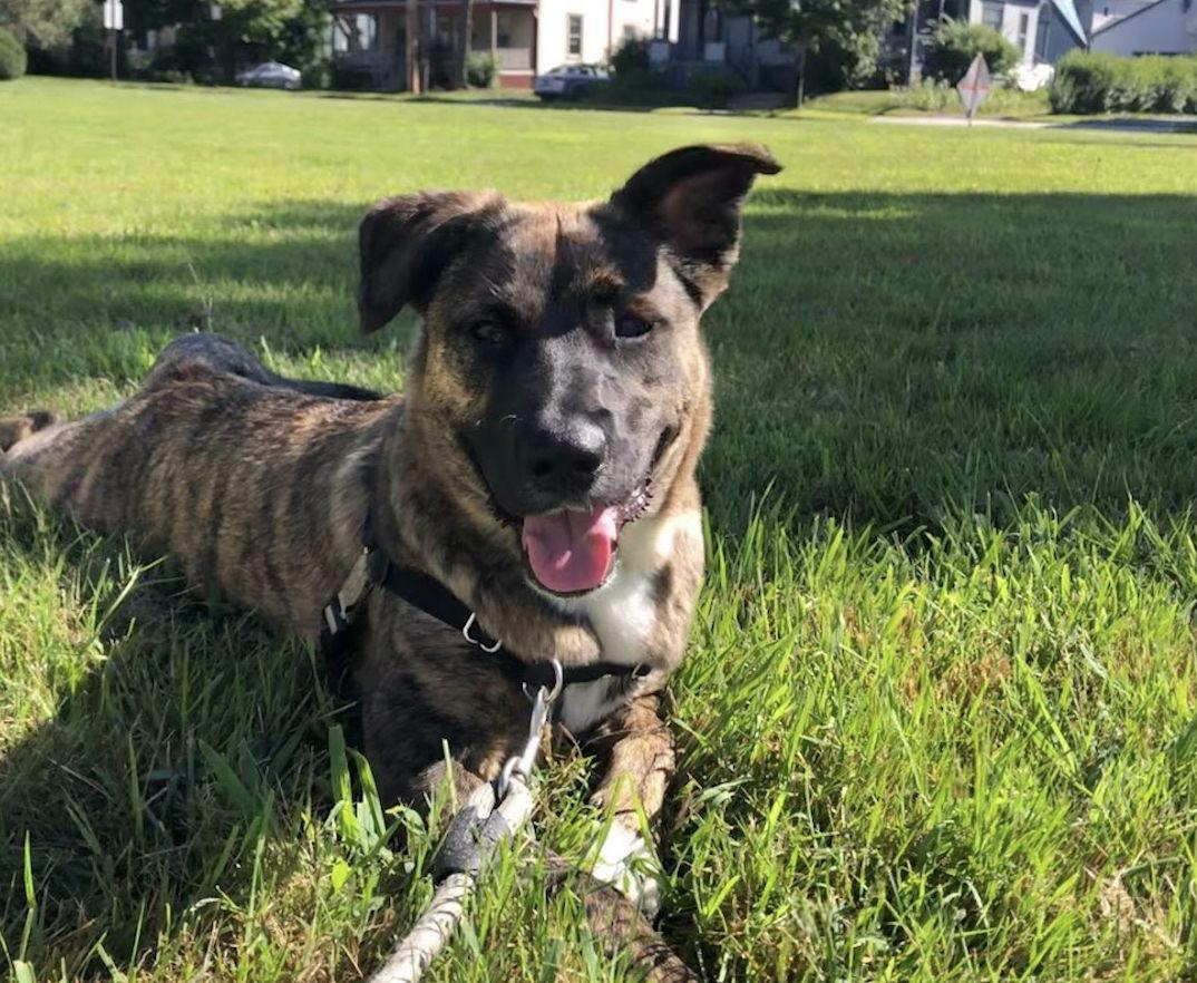 eaaec9ad-b74a-4c63-817c-cd456494f6ce