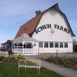 Schuh Farms