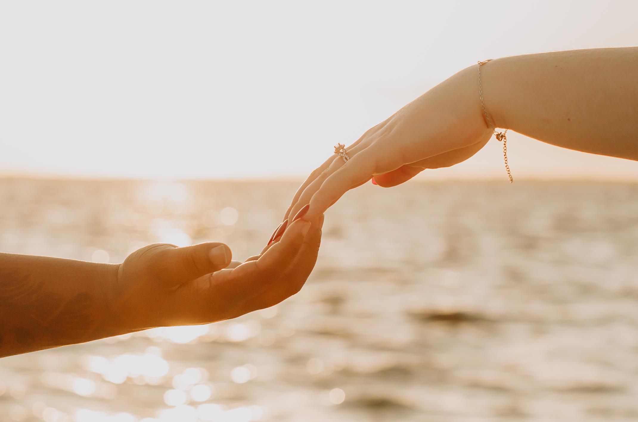 The Wedding Website of Chantel Chappell and Alexis Fisher