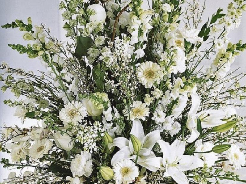 The Wedding Website of Jennifer Collura and Christopher Bono
