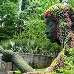 Atlanta Botanical Garden