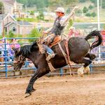 Carbondale Wild West Rodeo