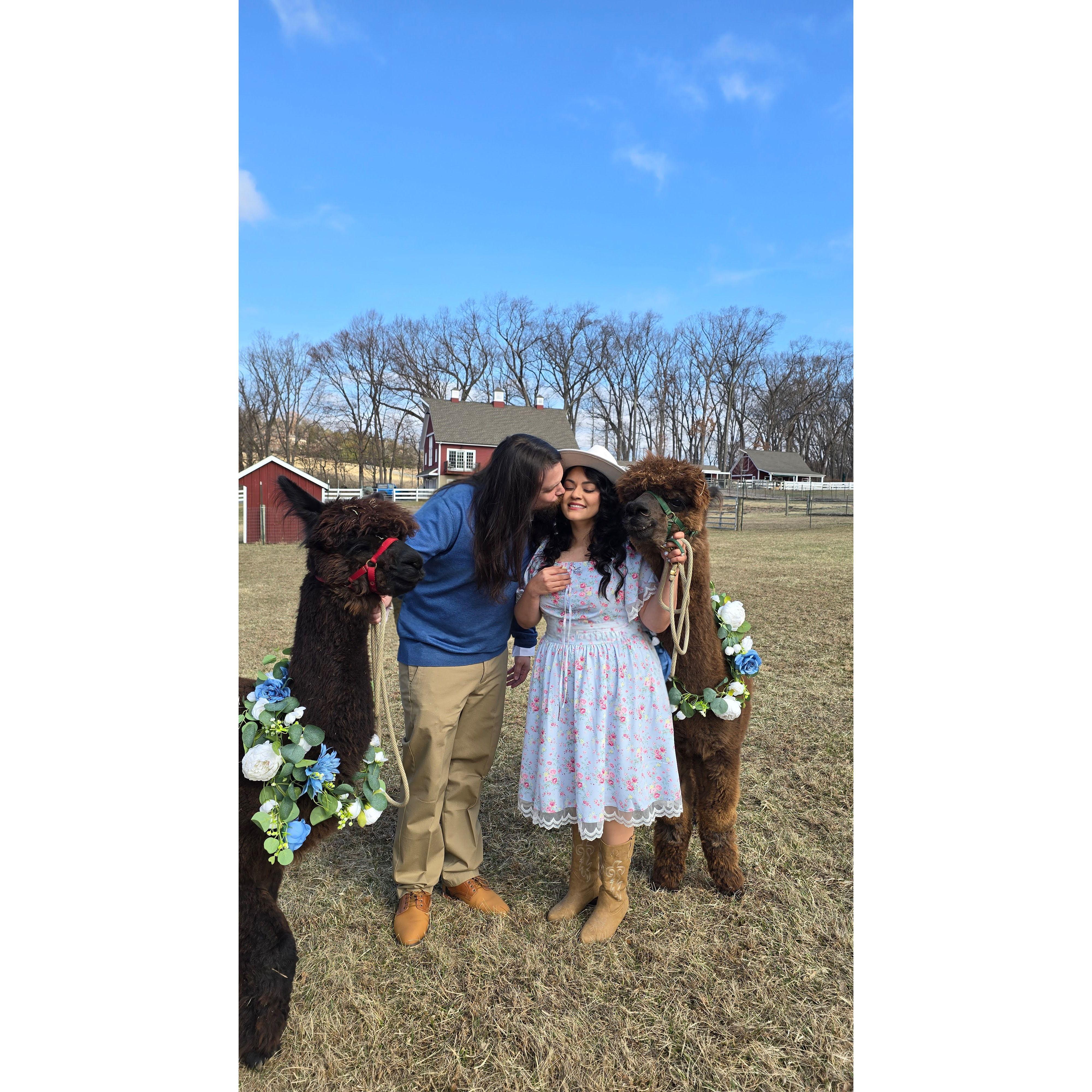 Fun Fact: Leslie got chest bumped by an alpaca on this day.
