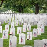 Arlington National Cemetery