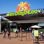 Best Kid Activity: San Diego Zoo