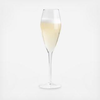 Ulla Champagne Glass, Set of 4