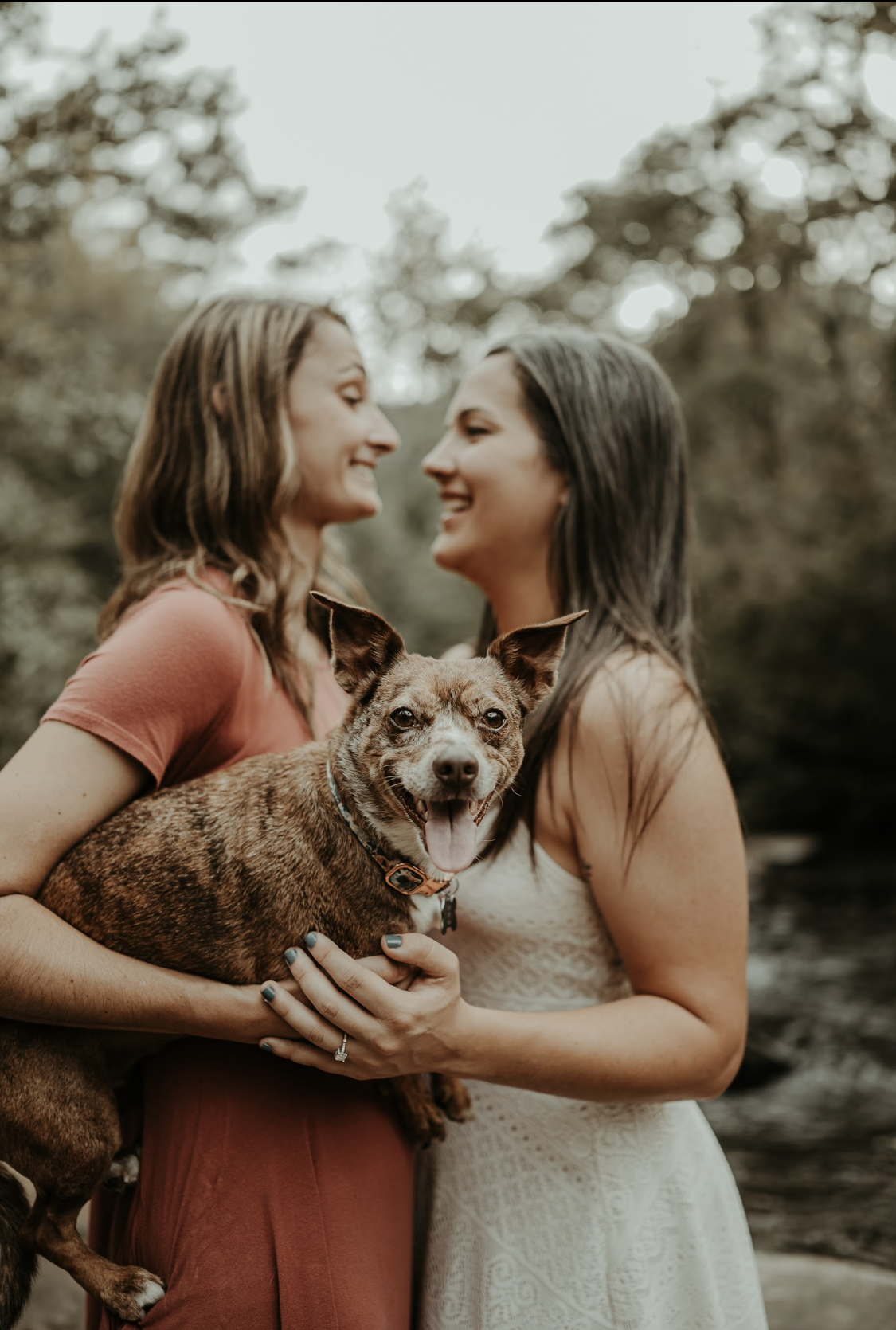 The Wedding Website of Katelyn Bedrosian and Alison McCondichie