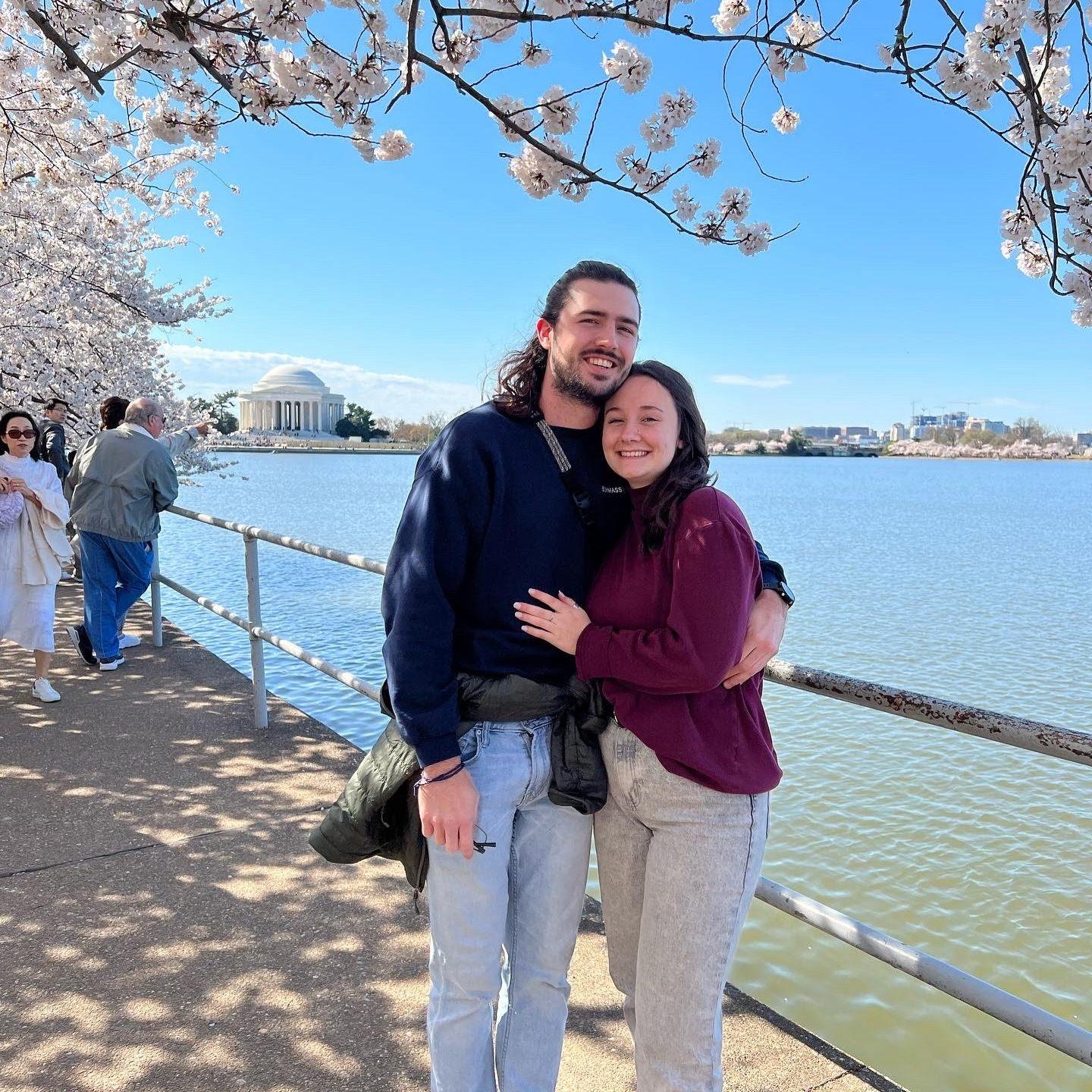 Cherry blossoms in Washington DC