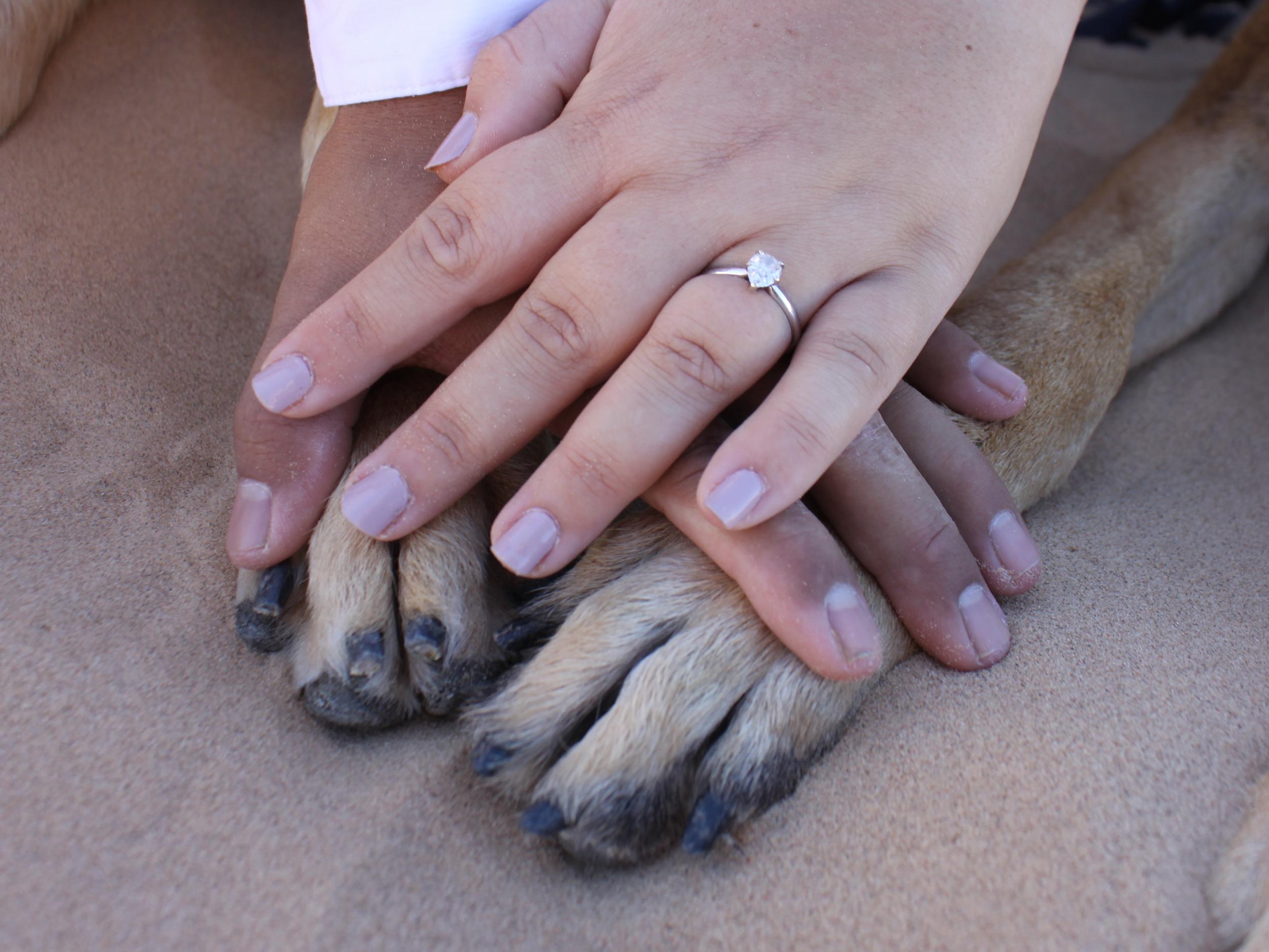 The Wedding Website of Christopher Salas and Lisa Guerrero