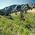 Close and Easy Hiking  Chautauqua Park (Grant and Baseline streets, Boulder)