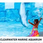 Clearwater Marine Aquarium