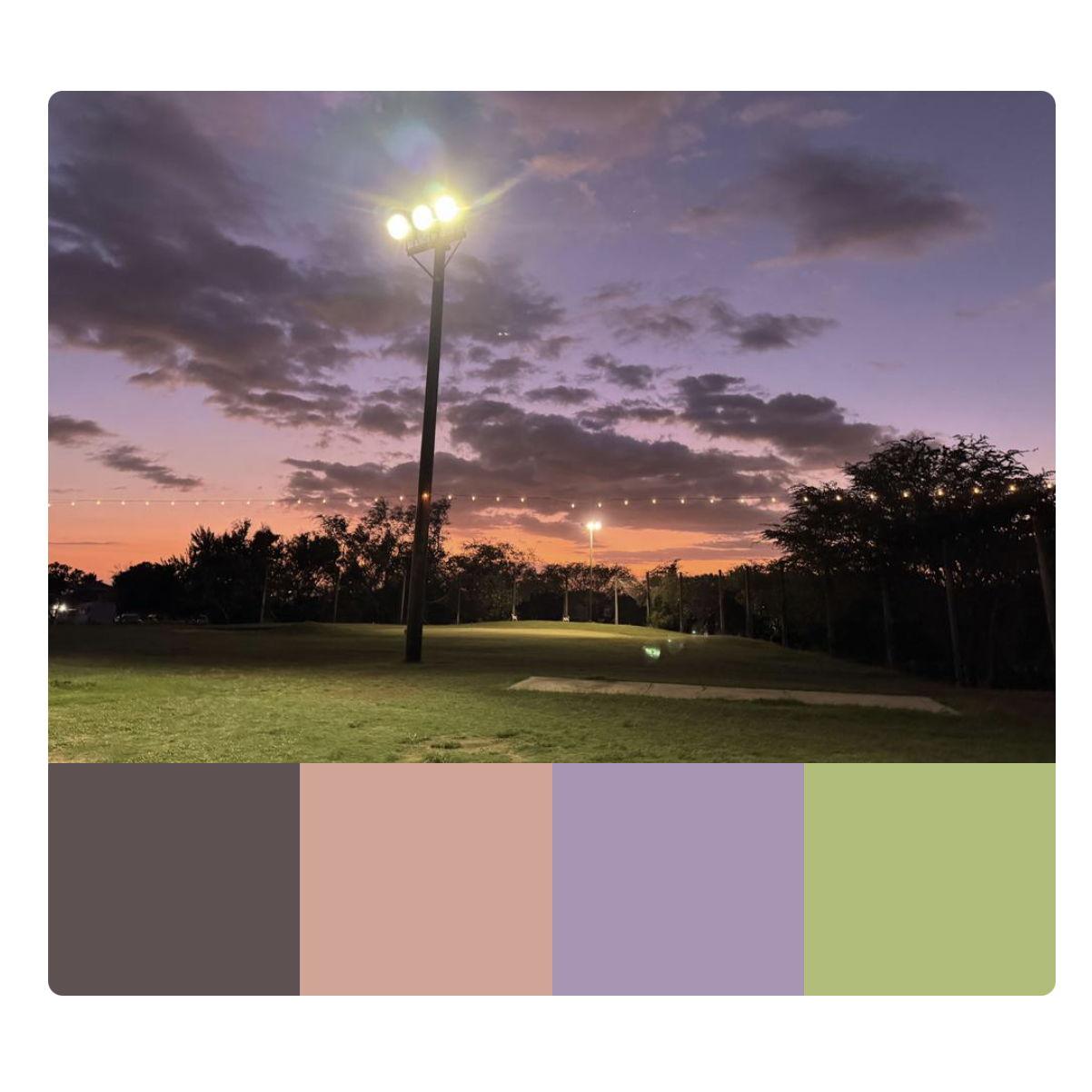 Sample color pallette