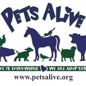 Donation to Pets Alive