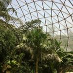 Greater Des Moines Botanical Garden