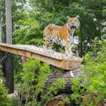 Cleveland Metroparks Zoo