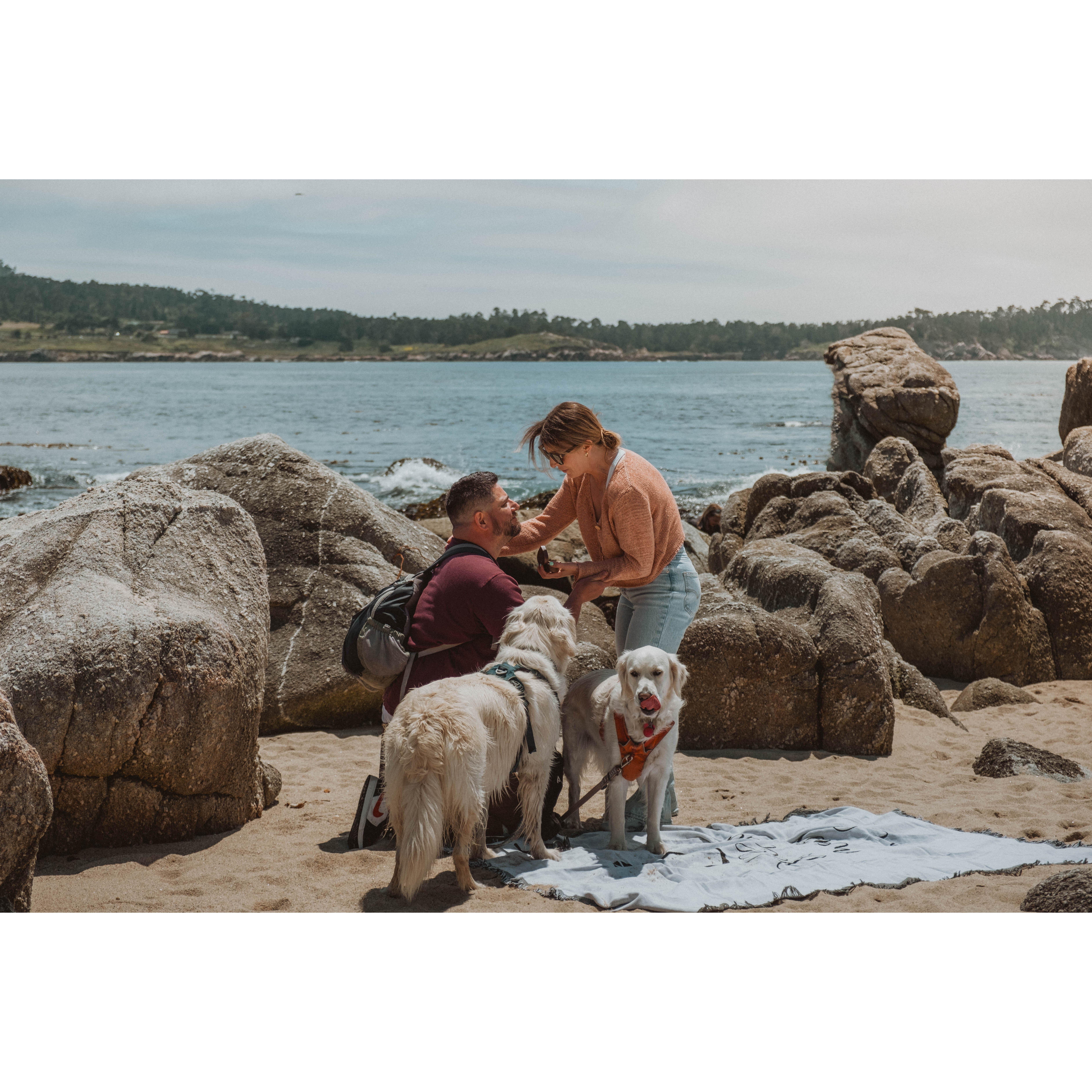 Joe surprised Arianna with popping the question at romantic state beach in Carmel by-the-sea where the sun decided to make a surprise appearance