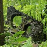 Madame Sherri Forest
