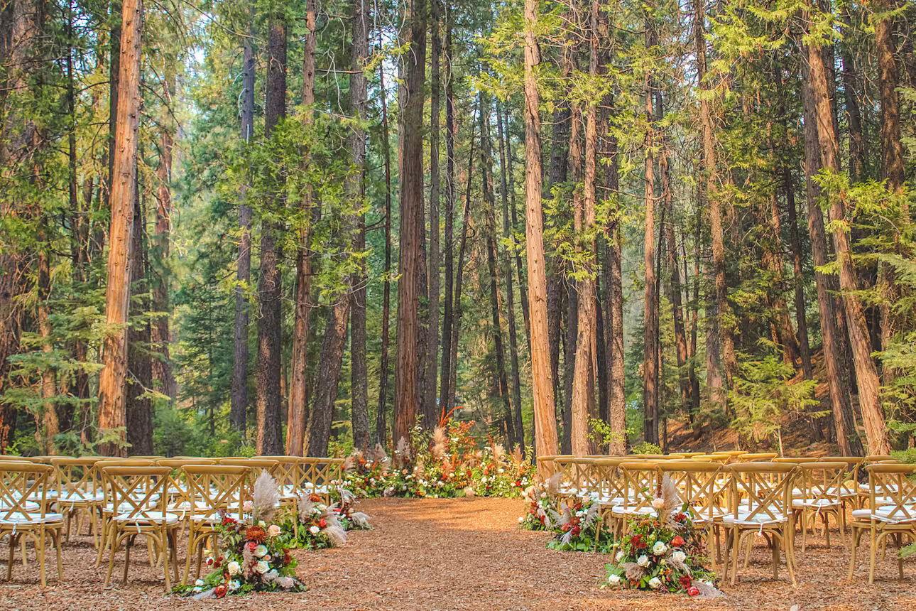 The Wedding Website of Ariana Bathgate and Tracy York