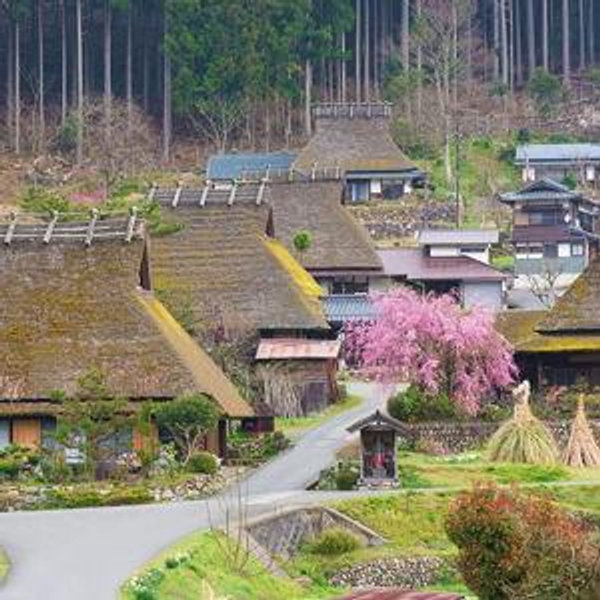 Kyoto Sightseeing & Stay for Two
