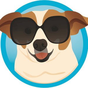 Power Pup Clean- Upholstery Cleaning