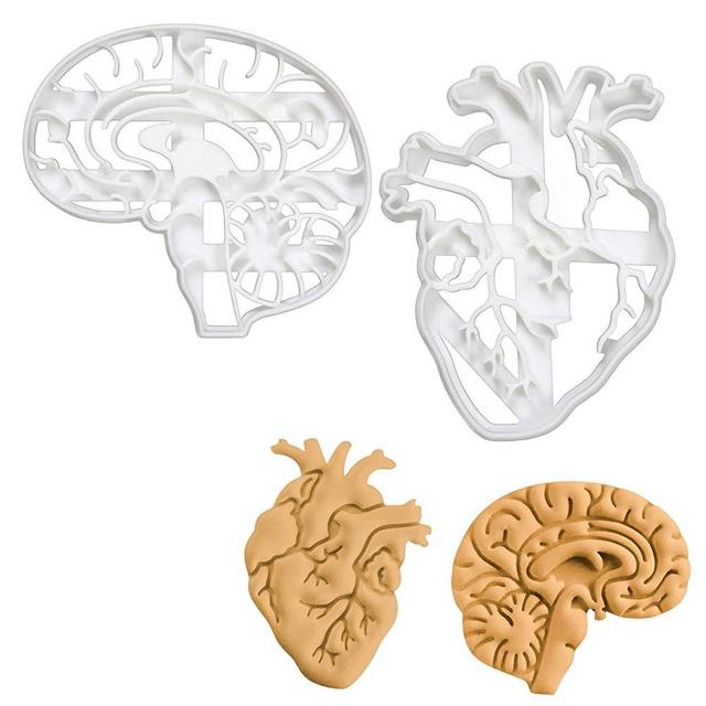 Set of 2 Anatomical Heart and Brain cookie cutters (Designs: Anatomical Brain and Heart), 2 pieces - Bakerlogy