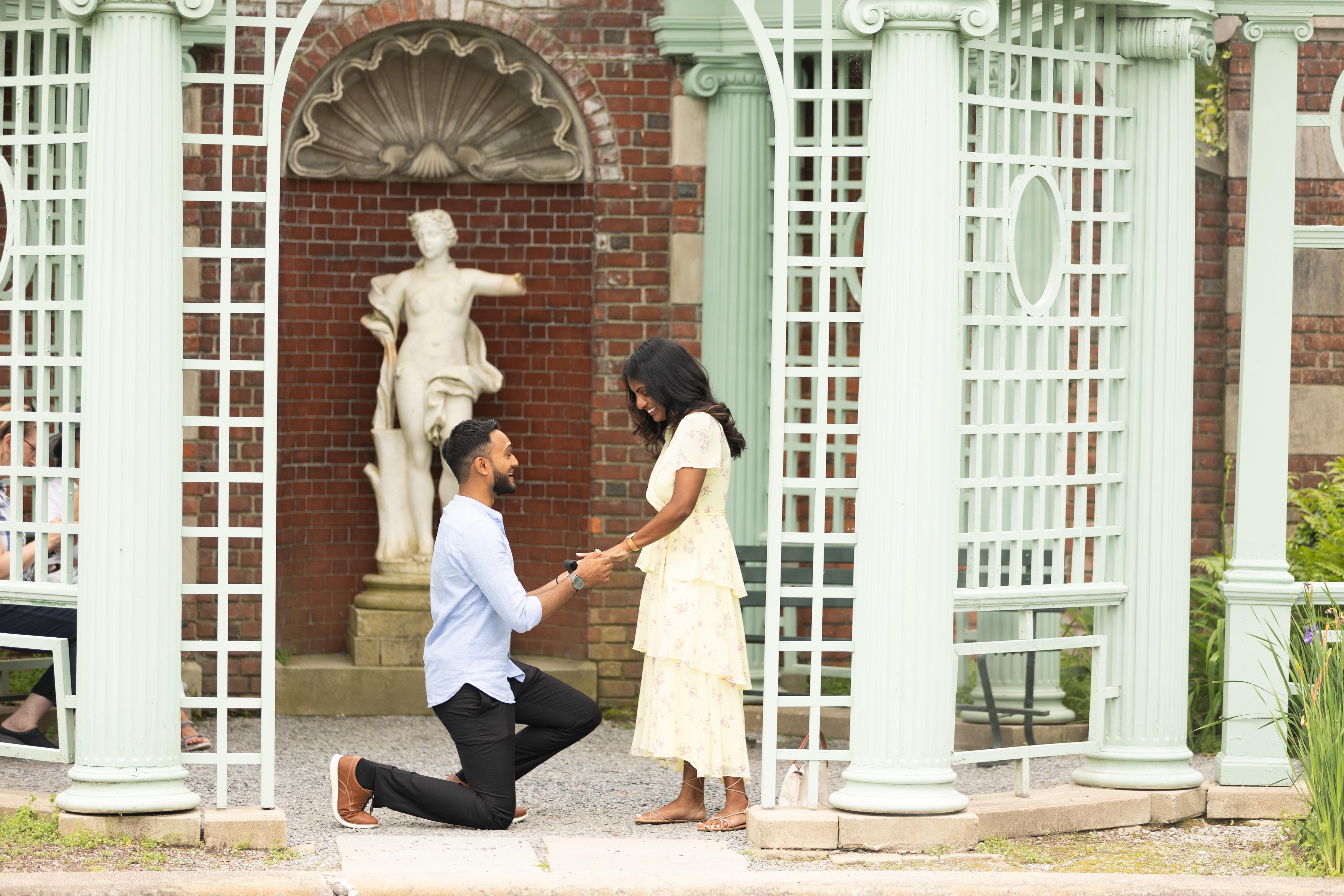 The Wedding Website of Aneesa Ali and Amir Abrahim