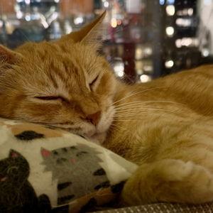 Julius' care during our honeymoon!