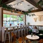 Canopy + the Roots Coffee