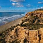 Torrey Pines State Reserve