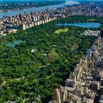 Central Park