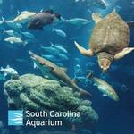 South Carolina Aquarium
