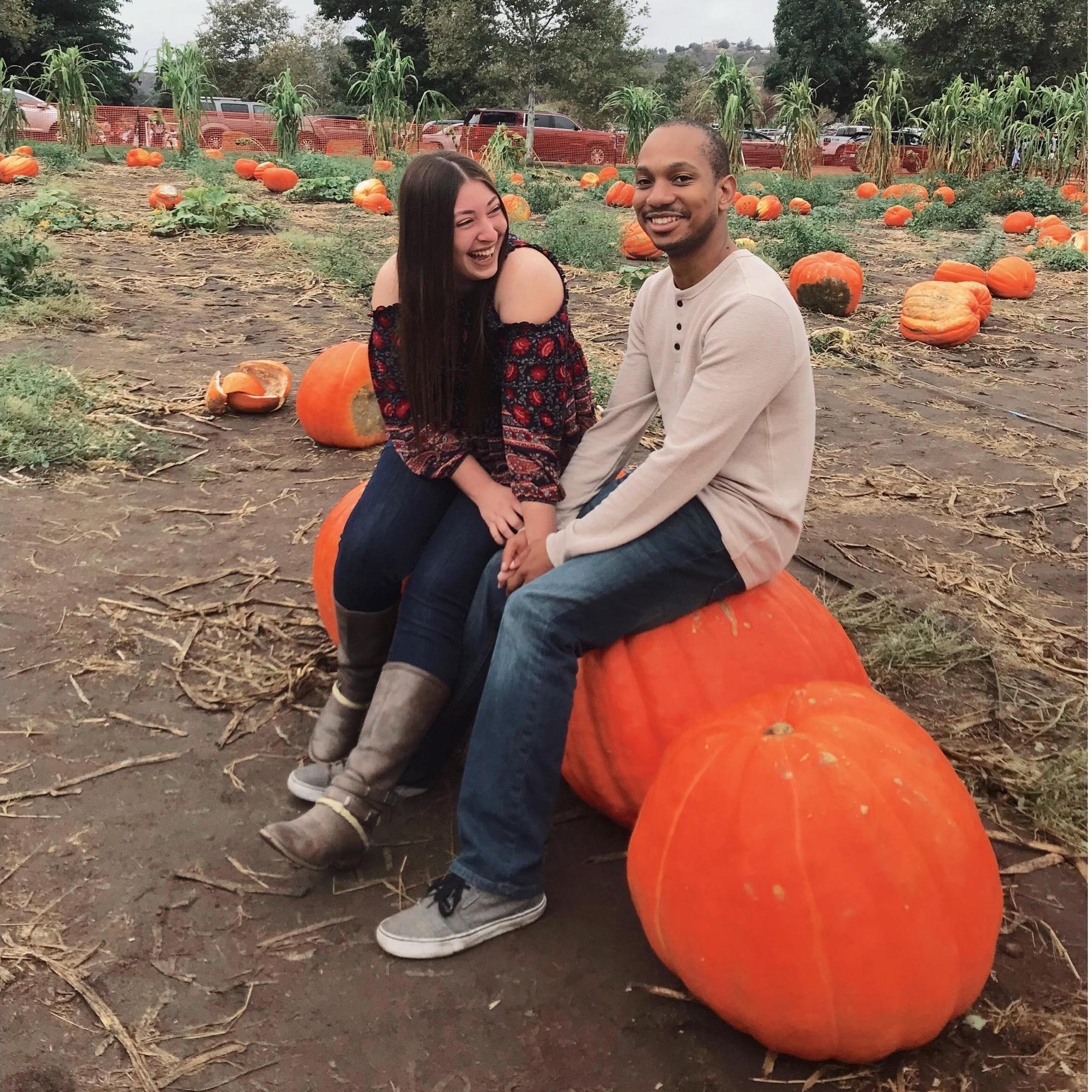 PUMPKIN PATCH