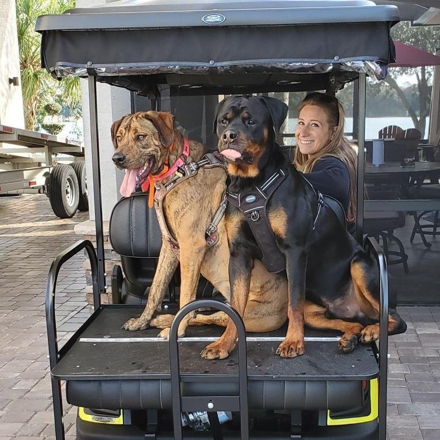 Kiki and the dogs terrorizing the retirement village in Florida, 2021