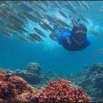 Islahanon Freediving