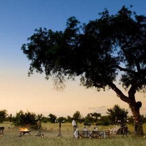 Dinner in the Bush