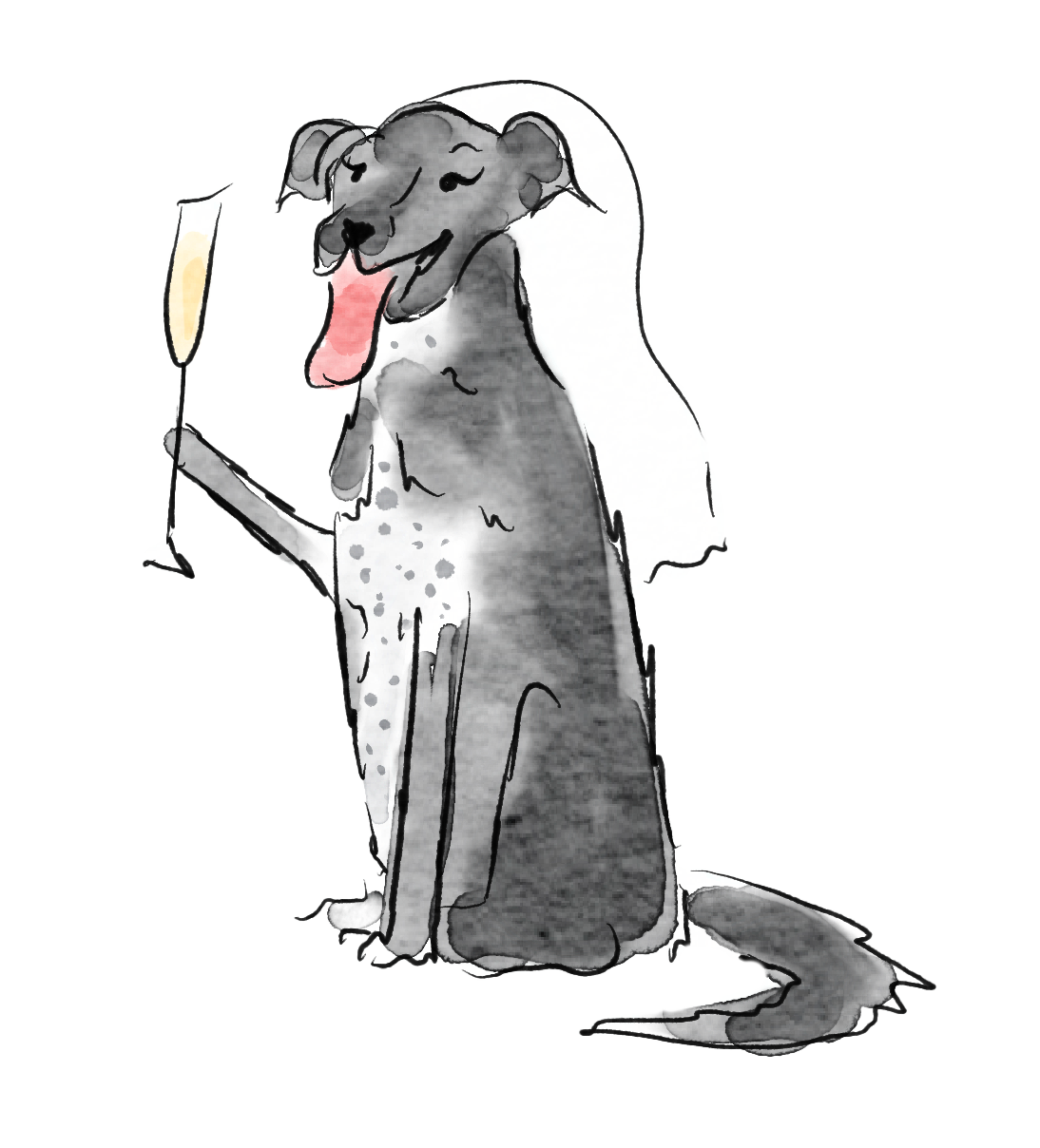 The Wedding Website of Kaitlyn Kasemodel and Spencer Ilstrup