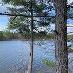 Range Pond State Park
