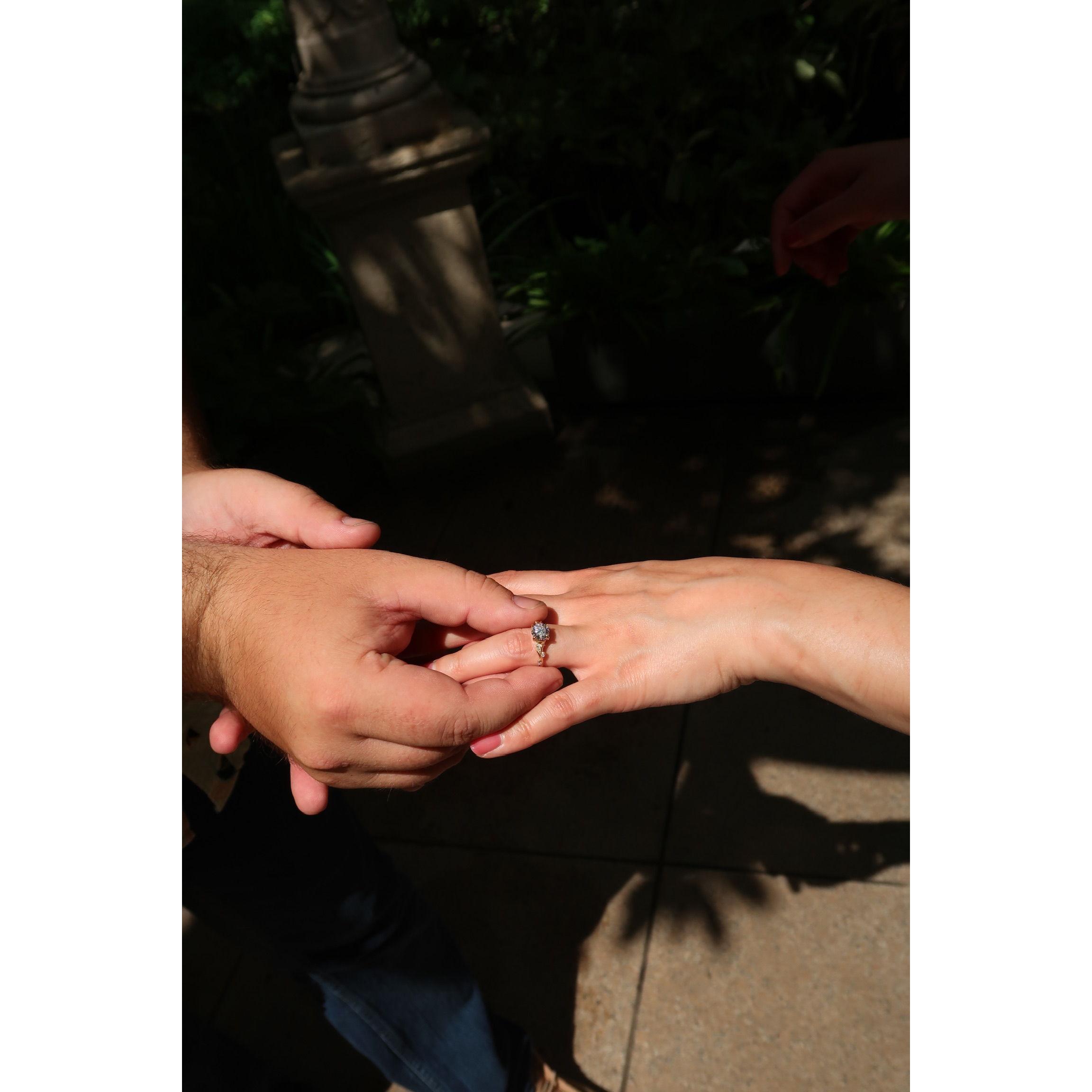 From our engagement at Longwood Gardens