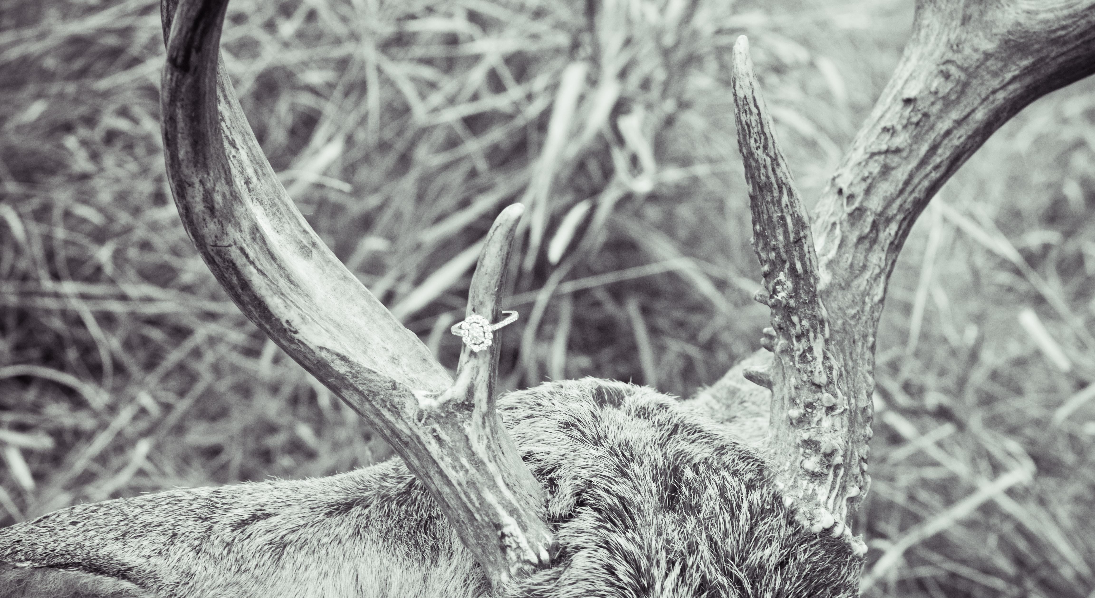 Footer image